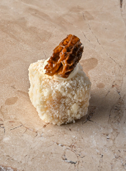 Parmesan and white truffle risotto tartine, truffle crème, fresh morelle