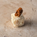Parmesan and white truffle risotto tartine, truffle crème, fresh morel (GF)