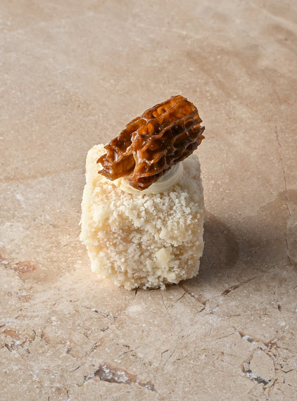 Parmesan and white truffle risotto tartine, truffle crème, fresh morelle