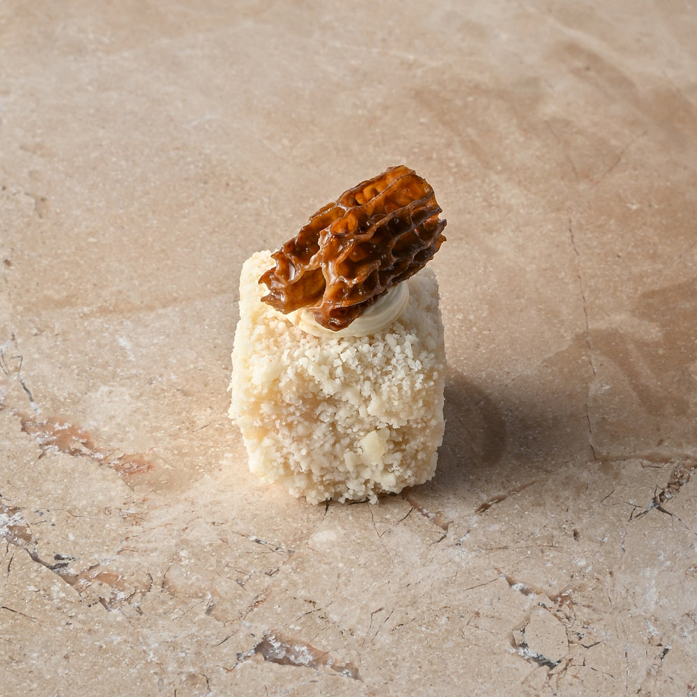 Parmesan and white truffle risotto tartine, truffle crème, fresh morel (GF)
