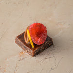 Raw cacao, medjool date and pecan truffle, date fudge, raspberry (GF)