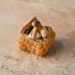 Wild mushroom arancini, truffled creme, walnut